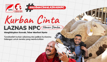 Kurban Cinta Laznas NPC – Hewan Domba