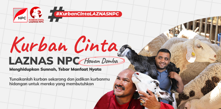 Kurban Cinta Laznas NPC – Hewan Domba