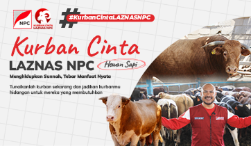 Kurban Cinta LAZNAS NPC – 1/7 Sapi