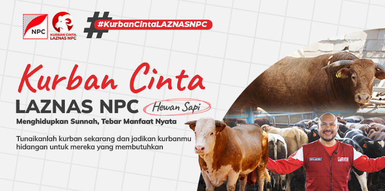 Kurban Cinta LAZNAS NPC – 1/7 Sapi