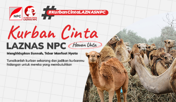 Kurban Cinta Laznas NPC – 1/10 Unta