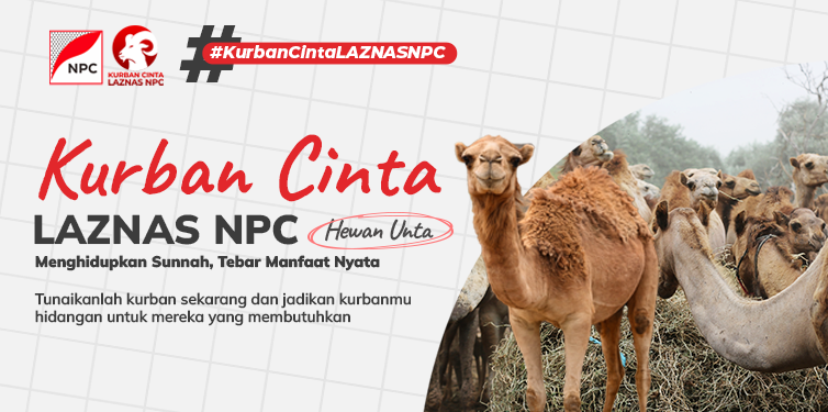 Kurban Cinta Laznas NPC – 1/10 Unta